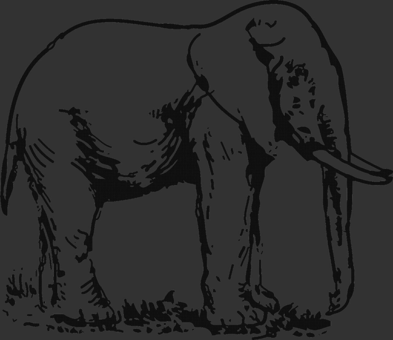 Las mejores jocca andador pies pie de elefante taburete