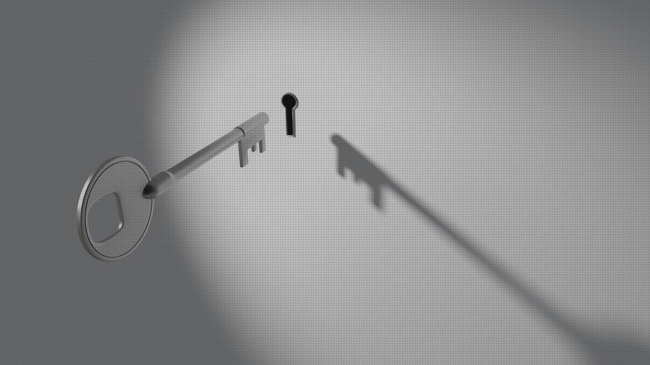 Review de plato con ventosa