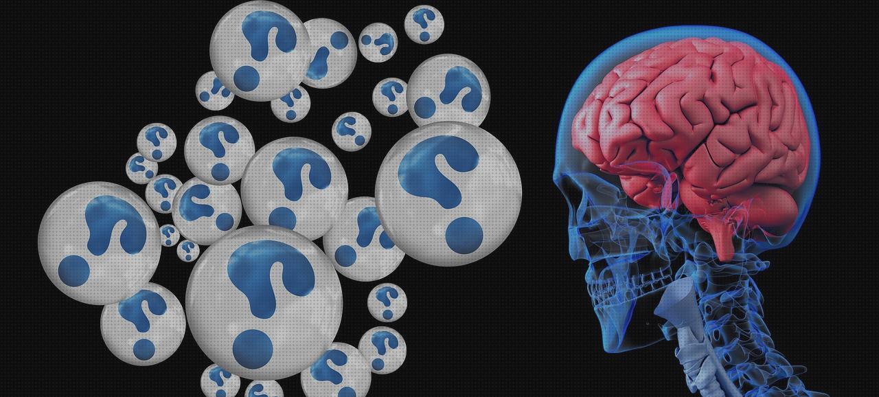 Análisis de los 10 mejores platos inteligentes del mundo