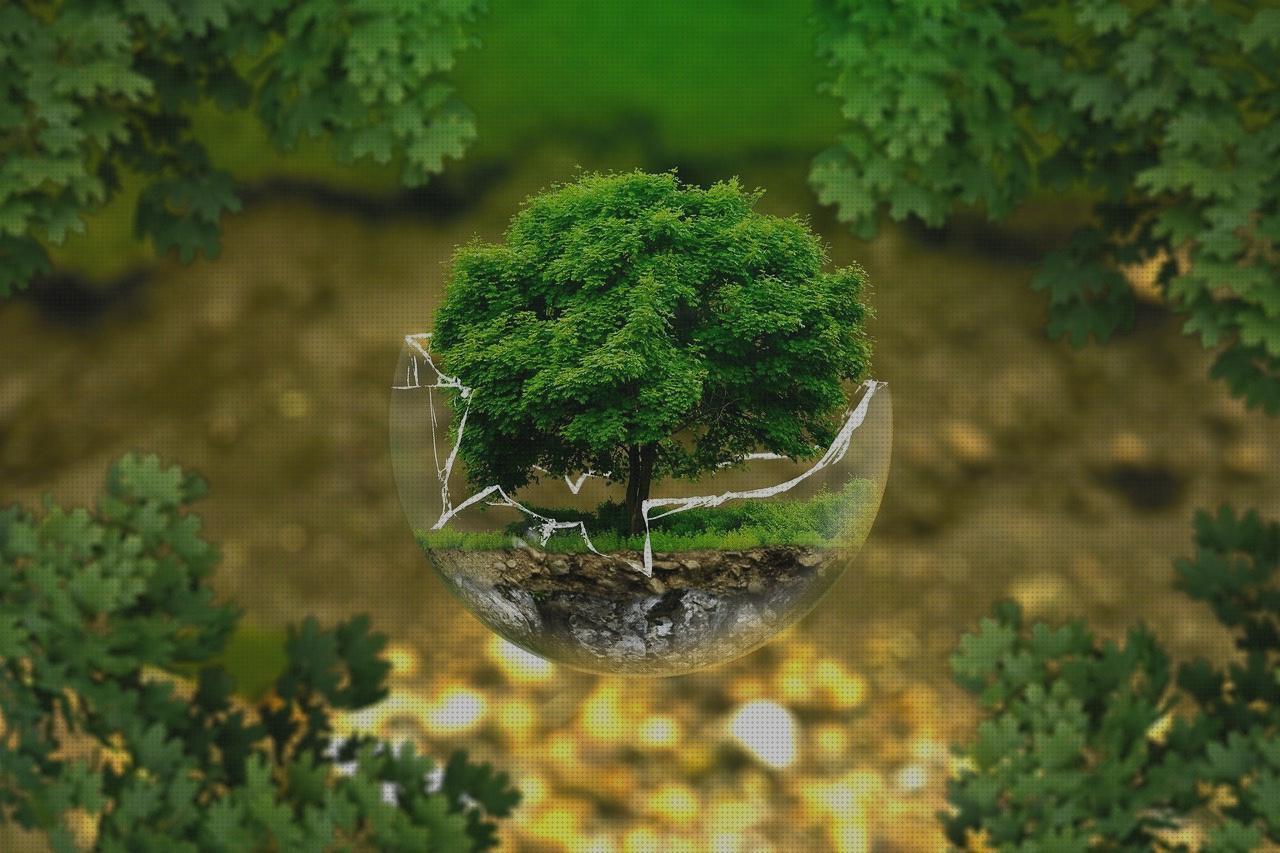 ¿Dónde poder comprar proteccion cervical ortopédica melatonina capsulas 5 mg colageno hidrolizado capsulas proteccion rotula ortopédica?