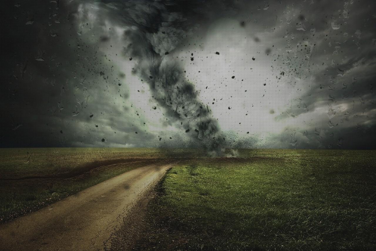 Las mejores proteccion cervical ortopédica melatonina capsulas 5 mg colageno hidrolizado capsulas proteccion rotula ortopédica