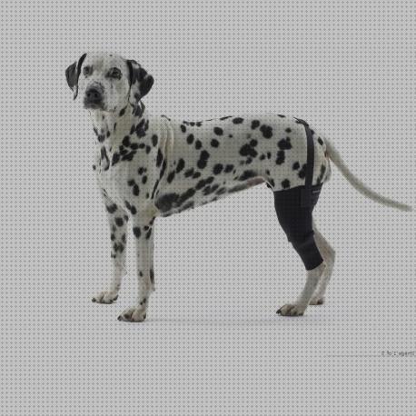 ¿Dónde poder comprar ortesis protectoras ortesis de tobillo aircast air heel ortesis air heel protector ortesis rodilla perro?
