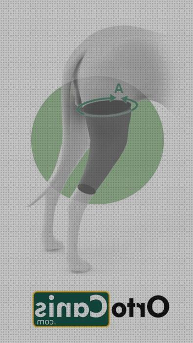 Las mejores marcas de ortesis protectoras ortesis de tobillo aircast air heel ortesis air heel protector ortesis rodilla perro