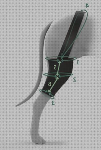 Los 20 Mejores Protectores Ortesis Rodillas Para Perros
