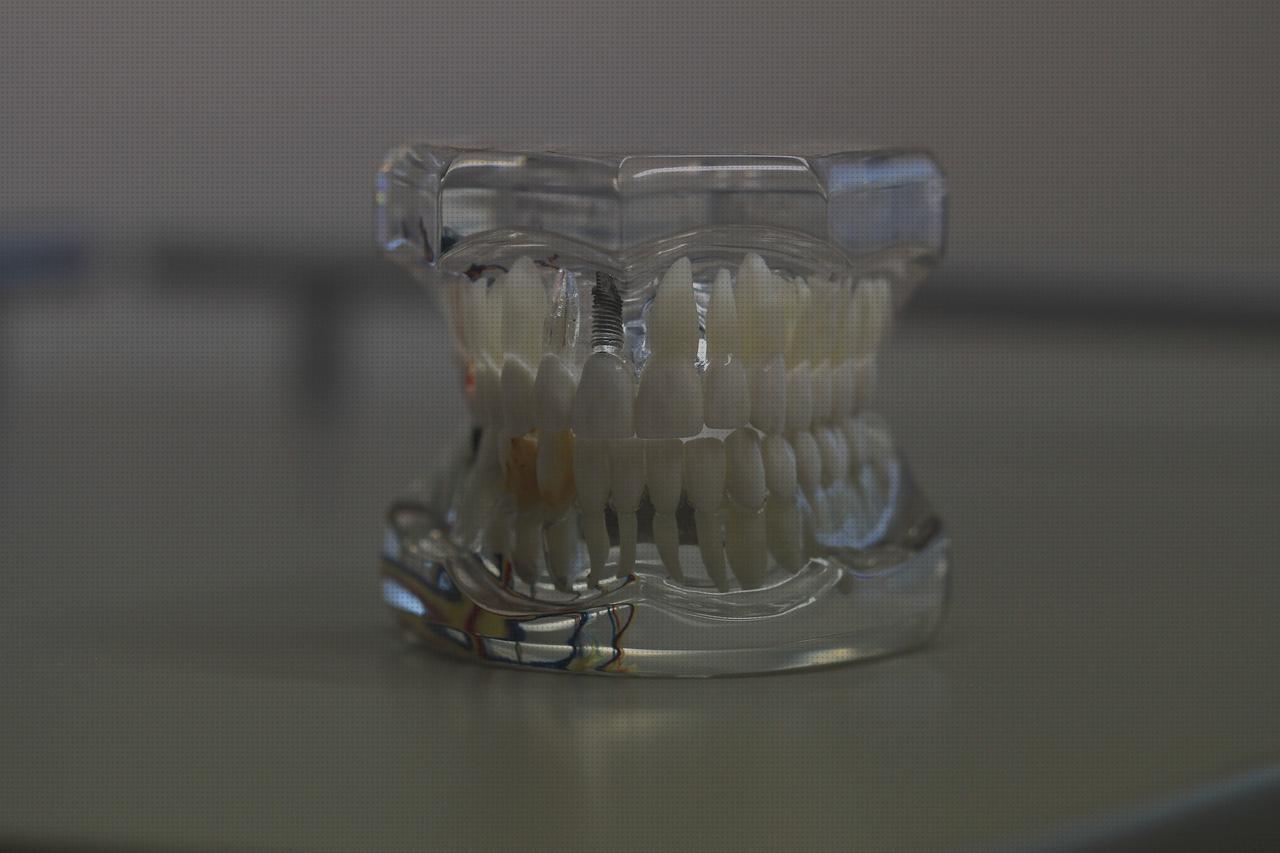 ¿Dónde poder comprar corse ortopédico fexo extensor caravaca ortopédics calcetas compresivas protesis ortopédicas bionicas?