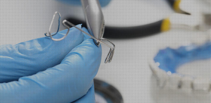 Análisis de las 10 mejores Protesis Y Ortesis Dentales