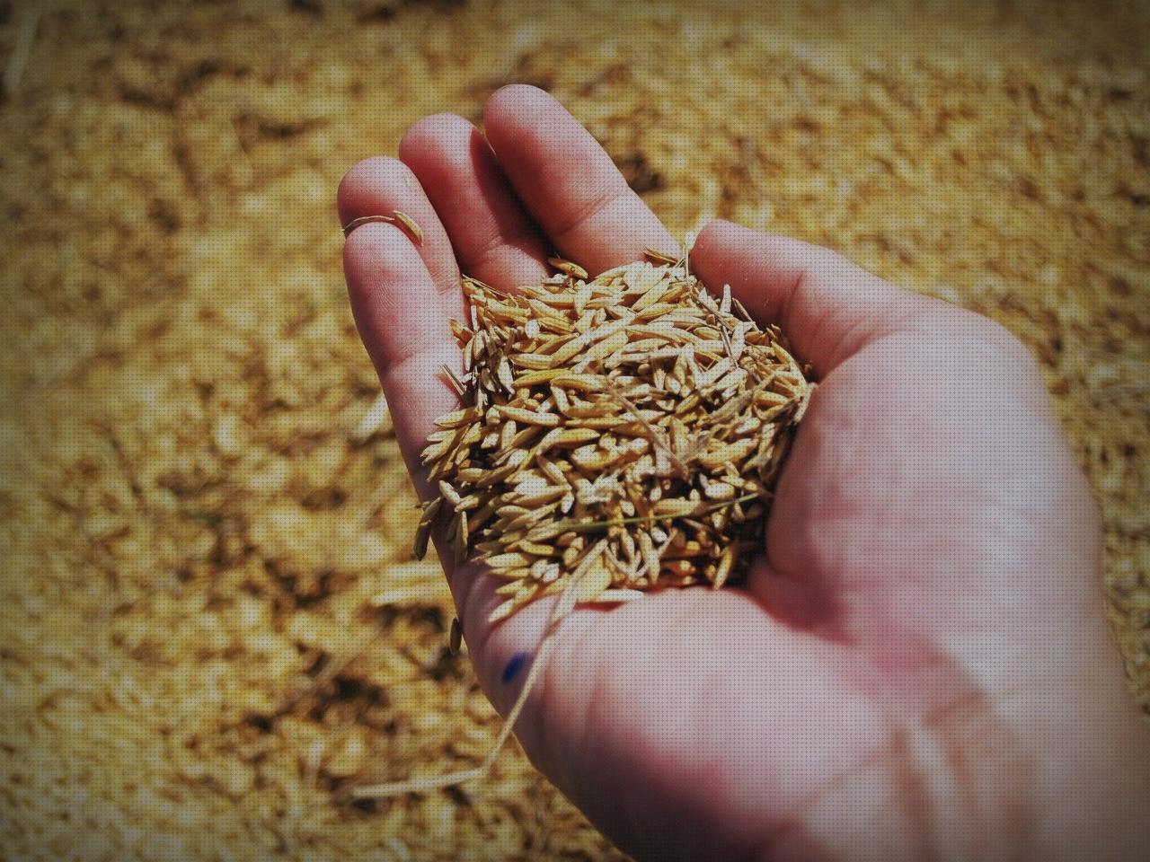 Review de purificador aire uv