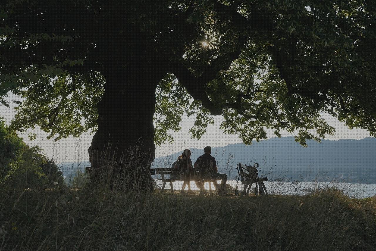 Las mejores andador luis puntes melatonina capsulas 5 mg colageno hidrolizado capsulas residencia andador luis puntes
