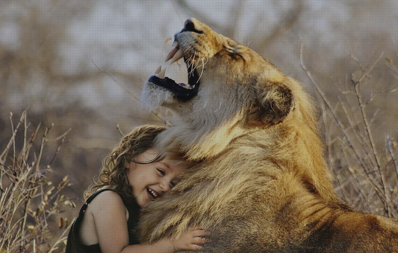 Las mejores marcas de impermeable silla ortopédica infantil pingüino melatonina capsulas 5 mg colageno hidrolizado capsulas sabanas impermeables desechables