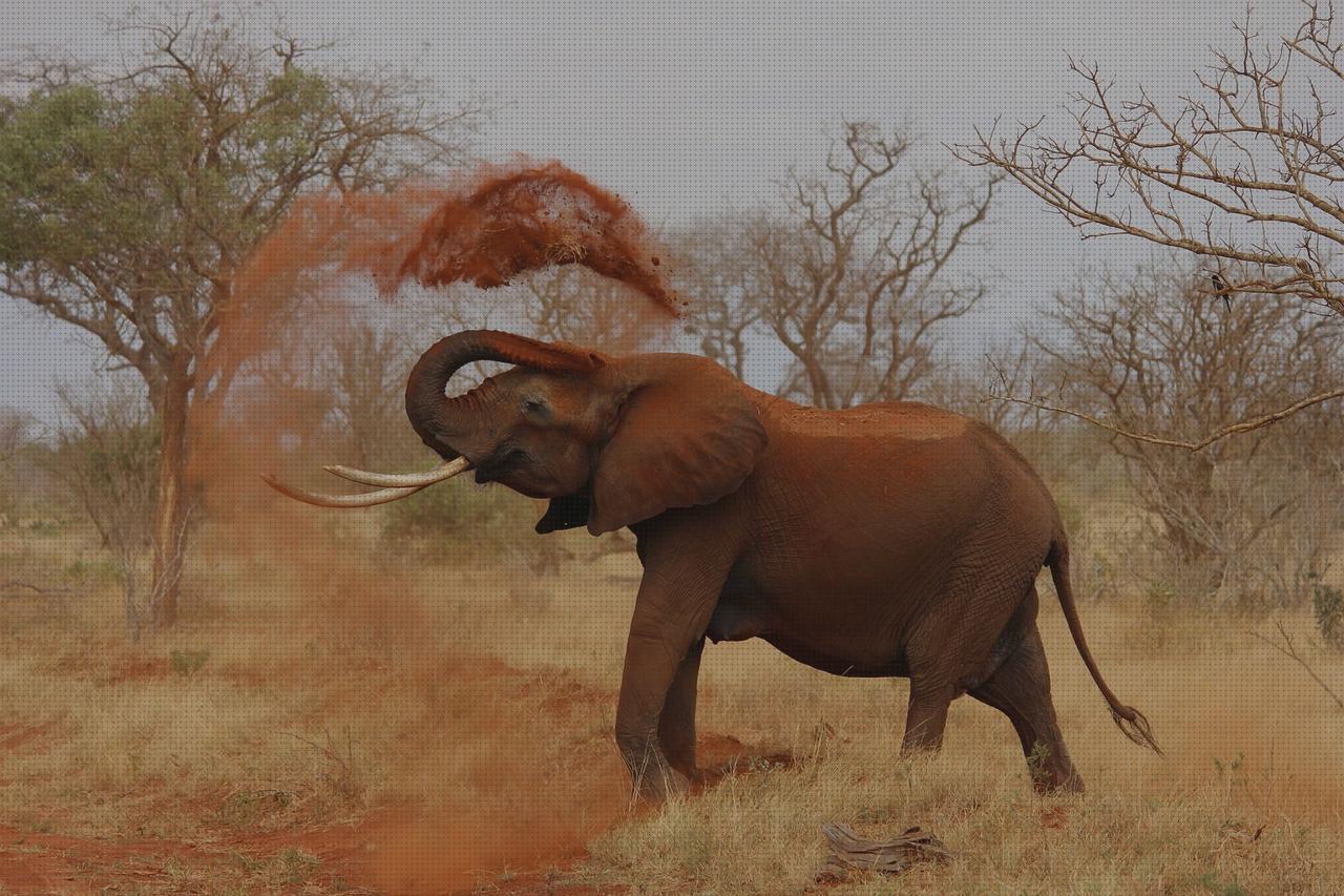 Review de sabanas impermeables desechables