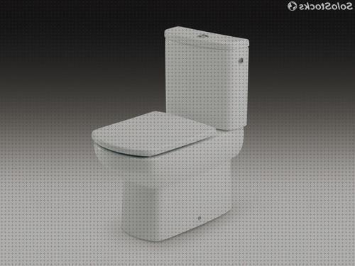 Análisis de los 16 mejores Sanitarios Damas Senso Compactos