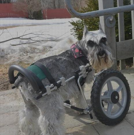 Opiniones de las 12 mejores Sillas De Ruedas Para Animales