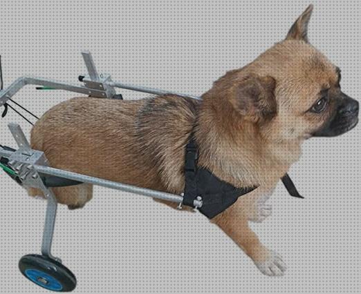 Las mejores animales ruedas silla de ruedas para animales