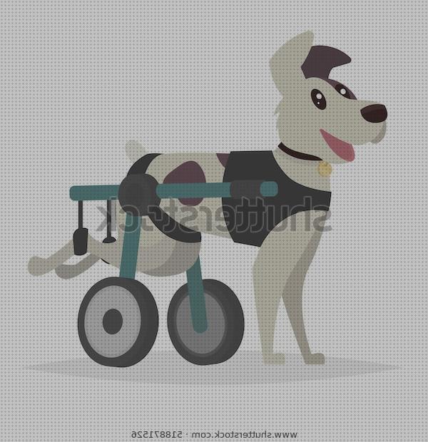 Las mejores 35 Sillas De Ruedas Para Perros Patas Traseras