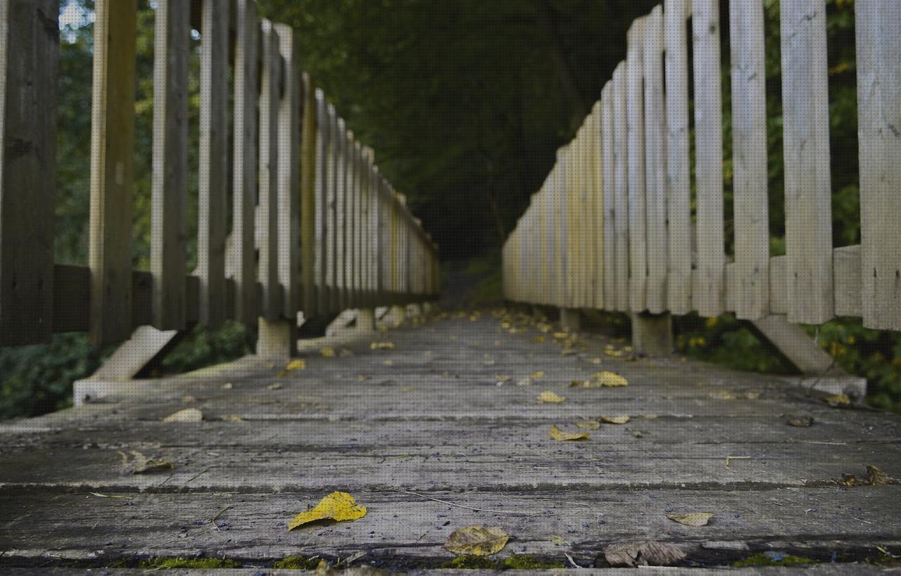 Las mejores marcas de sillas silla nido