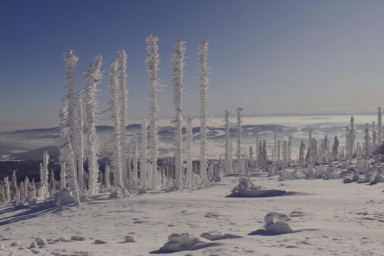 Review de sillon orejero reclinable