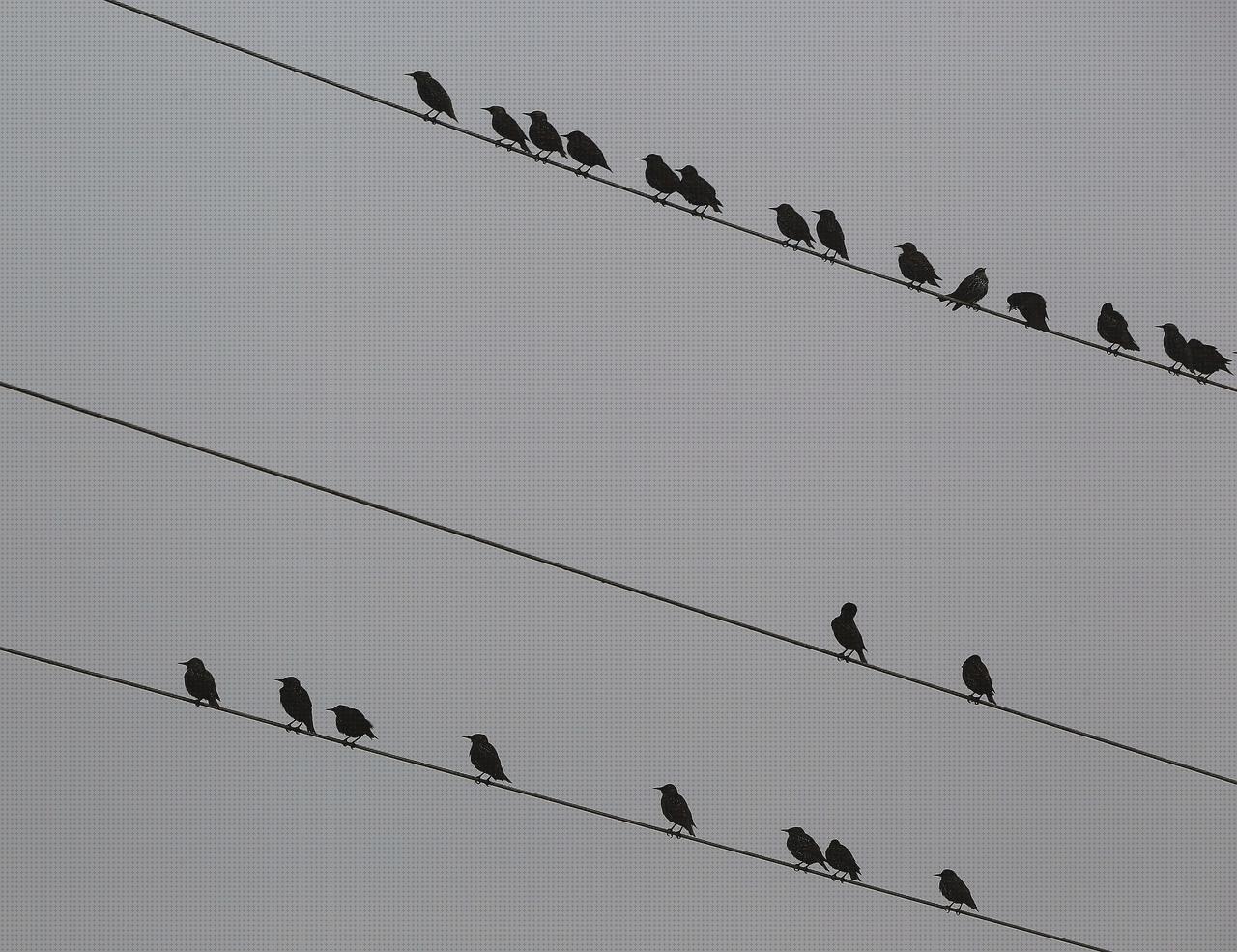 ¿Dónde poder comprar sterling s425 vaso de disfagia cabestrillo velour sterling sapphire 2?