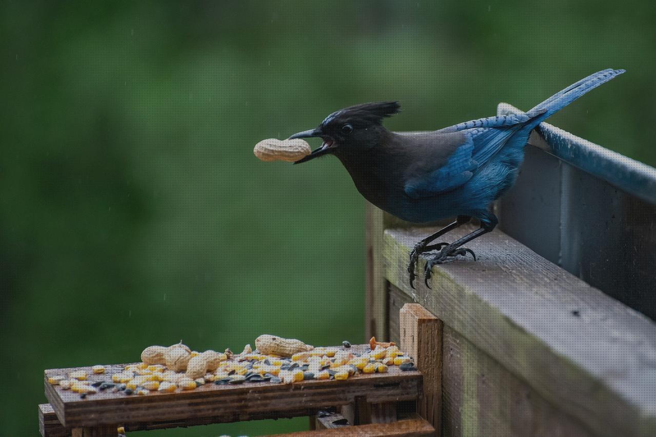 Las mejores marcas de sterling s425 vaso de disfagia cabestrillo velour sterling sapphire 2