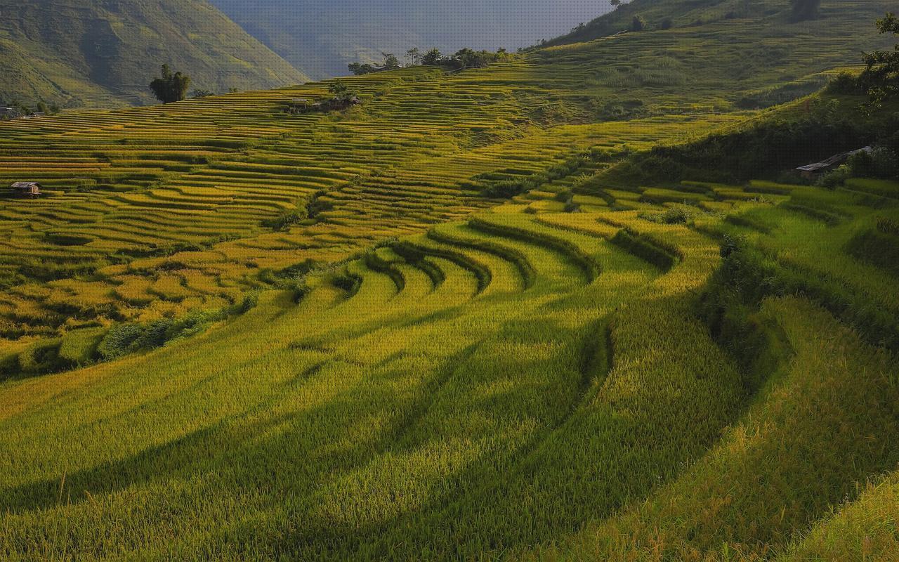 Review de suelo desmontable