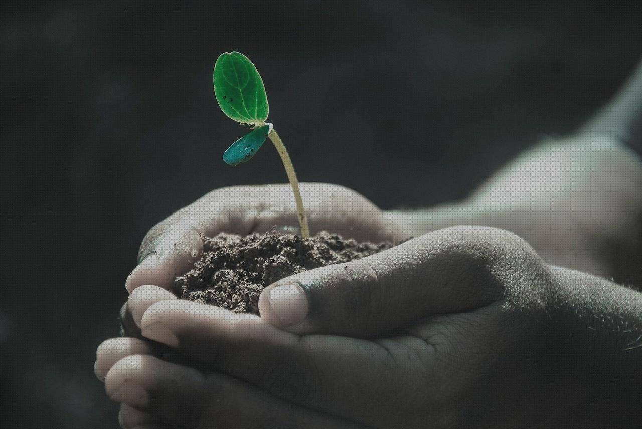 Las mejores piso andador mayores melatonina capsulas 5 mg colageno hidrolizado capsulas suelo desmontable modular