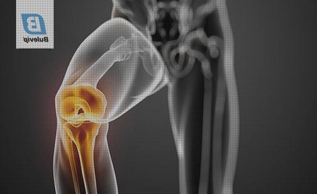Los 15 Mejores Sulfatos De Glucosamina Condroitina Y Msm