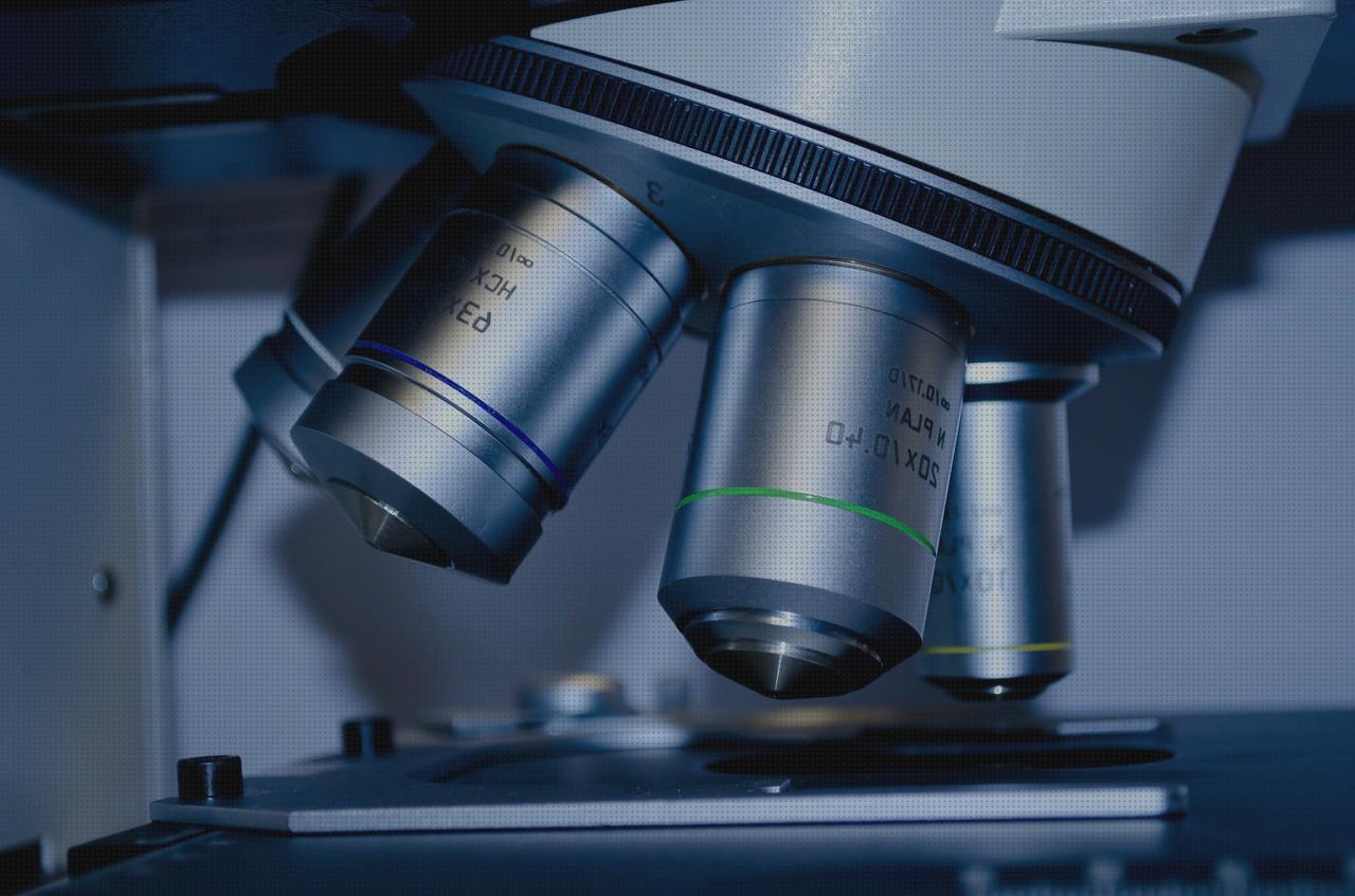 Las mejores disras orejas orejas ortopédicas cifosis correccion ortopédica menton tests ortopédicos