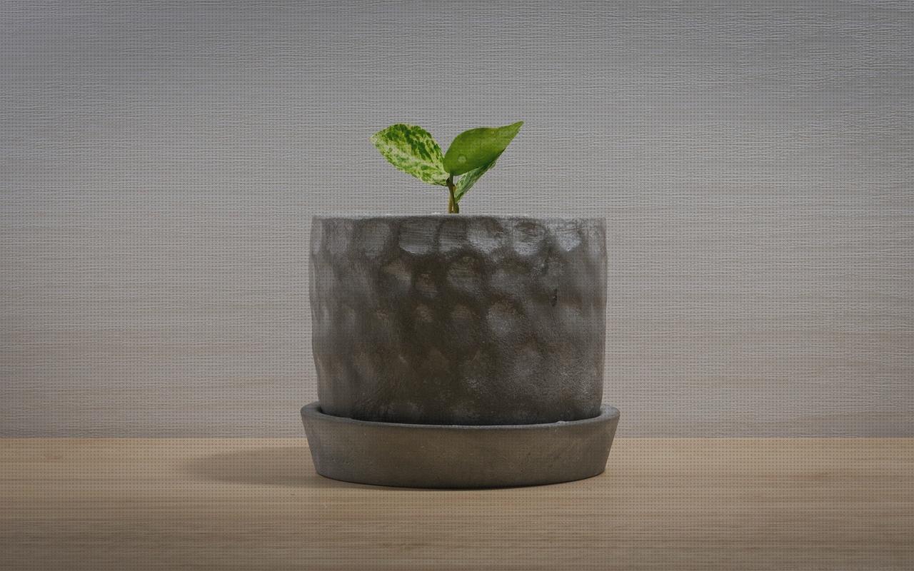 Las mejores residencia fortuny albors vaso de disfagia cabestrillo velour toallitas oftalmicas