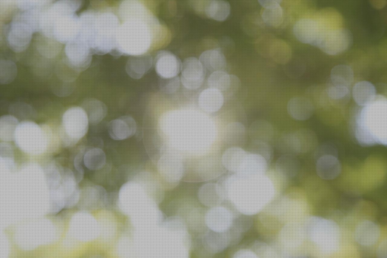 Review de las 11 mejores toallitas oftalmicas