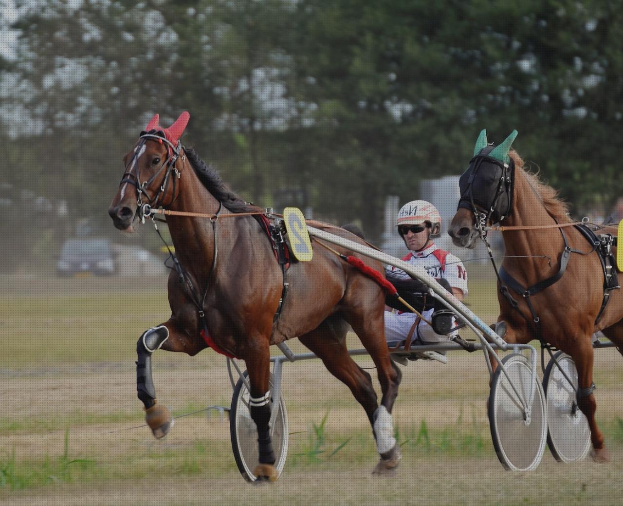 Las mejores residencia fortuny albors vaso de disfagia cabestrillo velour trabarse al hablar