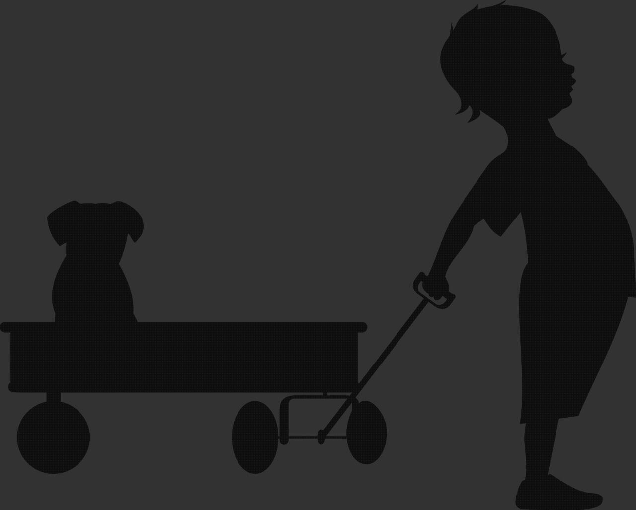 ¿Dónde poder comprar traccion ortopédica cifosis correccion ortopédica menton corset ortopédico cifosis traccion cervical?