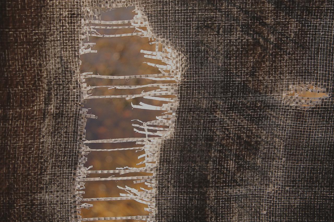 Review de traccion cervical