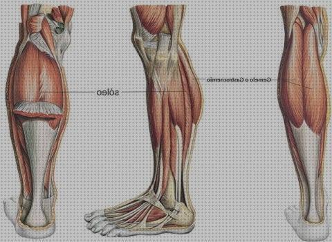 ¿Dónde poder comprar triceps triceps sural ortesis?