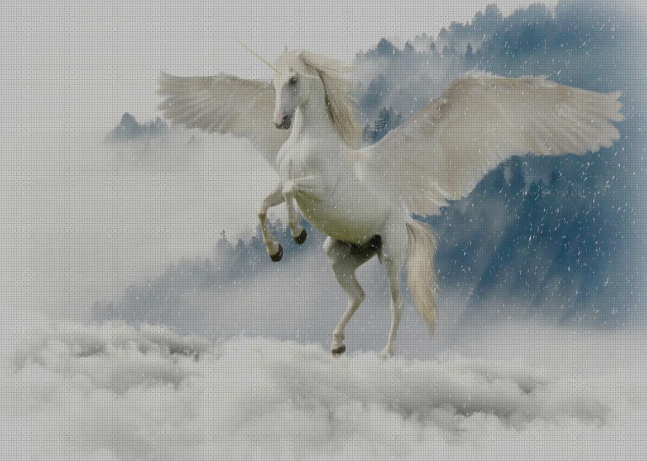 Las mejores marcas de unicornio andador