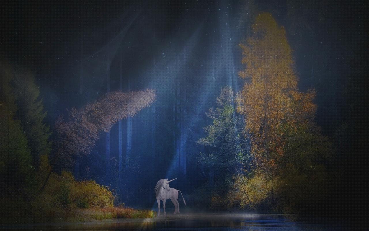 Las mejores unicornio andador