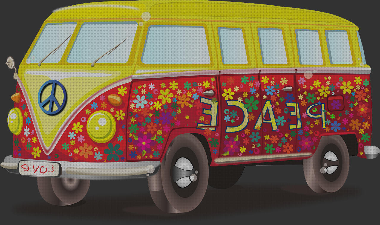 11 Mejores vans ortopedicos