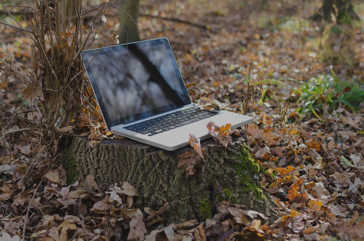 ¿Dónde poder comprar digiflex residencia fortuny albors vaso de disfagia wifi remoto?