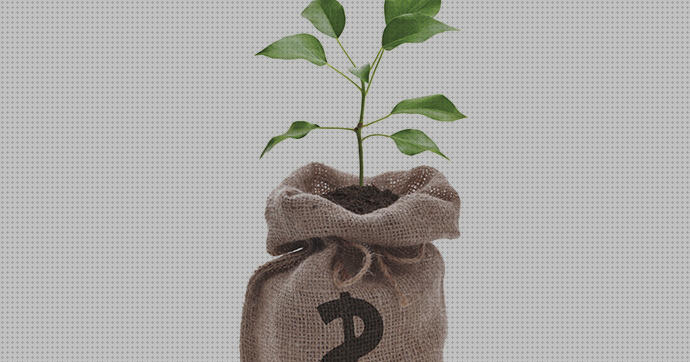 Las mejores marcas de zapato ortopedico sample henry mancini