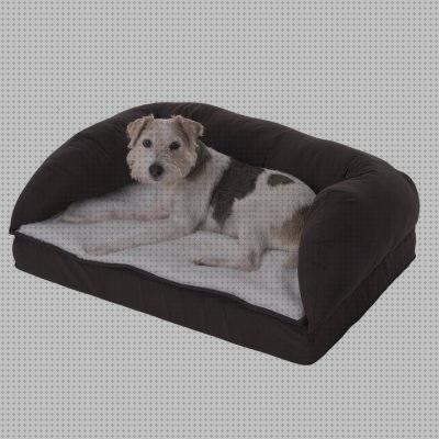 Review de zooplus cama ortopedica perro